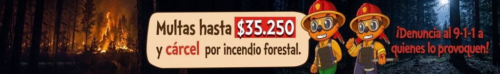 Juntos contra el fuego. Multas hasta $35250 y cárcel por incendio forestal. Denuncia al 911 a quienes lo provoquen.